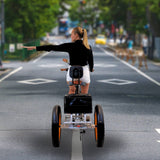 3SCORE MIA Electric Folding Tricycle for Adults with Fat Tires - 750W Motor and 48V Battery - Royal White