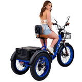 Electric Blue 3SCORE Etrike with dual battery support for aging well and extended range