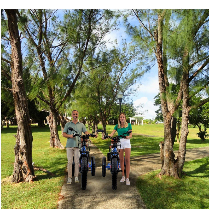 3SCORE MIA Electric Folding Tricycle for Adults with Fat Tires - 750W Motor and 48V Battery - Electric Blue