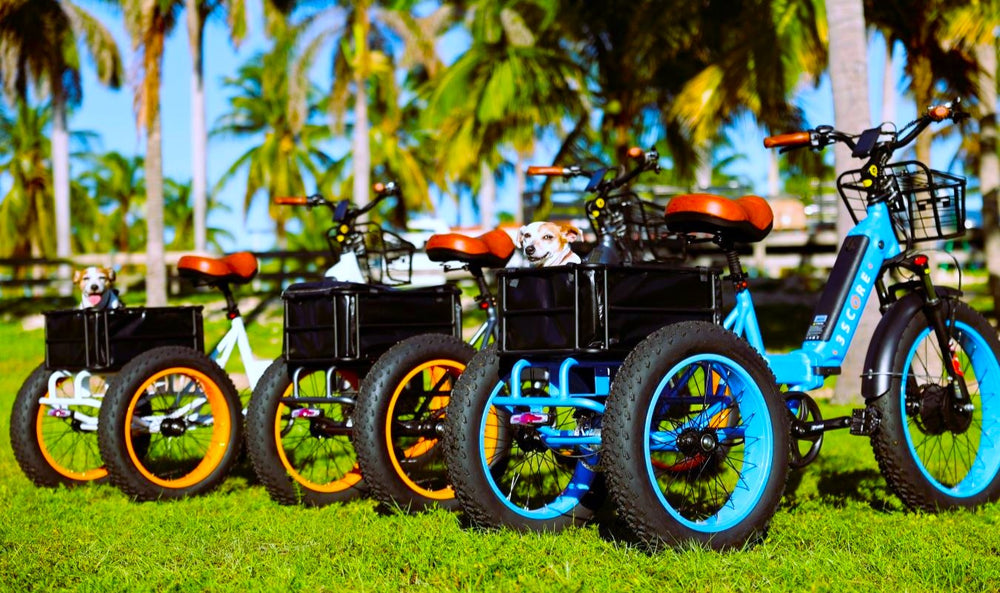 electric tricycle seniors get your freedom back, electric trike 3SCORE is the electric trike for seniors by far for all the safety elements and details, like safety tricycle mirrors this is the fat tire electric tricycle for adults